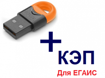 ЕГАИС ПОД КЛЮЧ